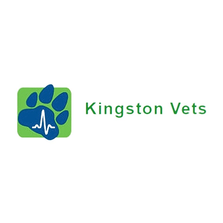 Kingston Vets