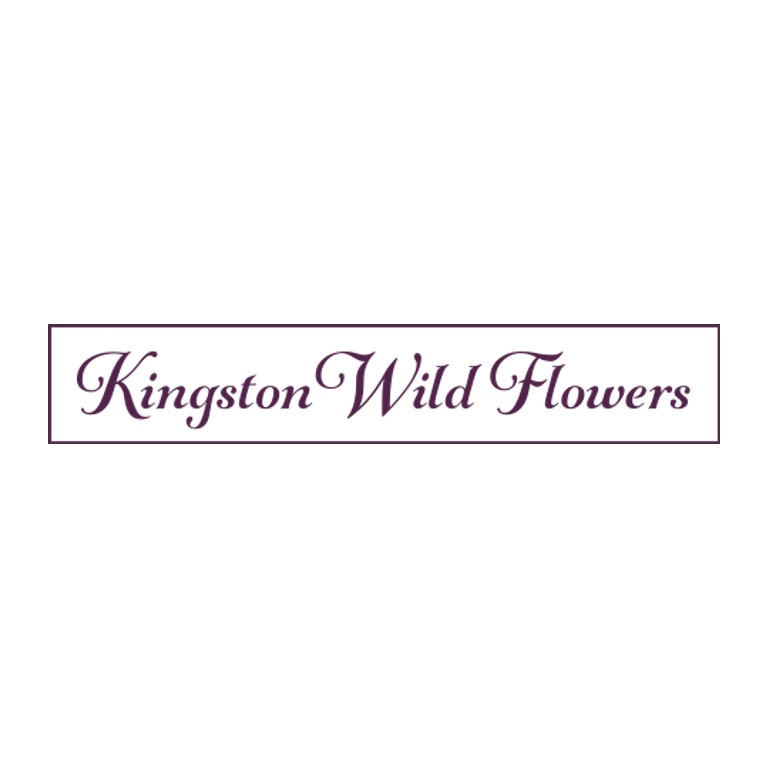 Kingston Wild Flowers
