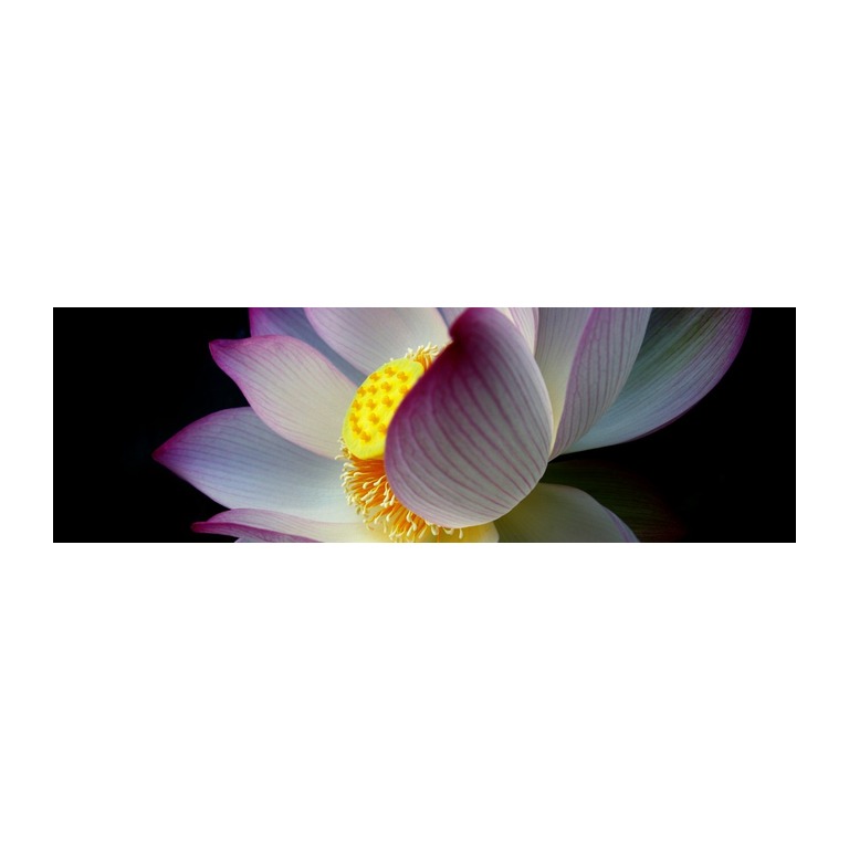 Counselling South West London